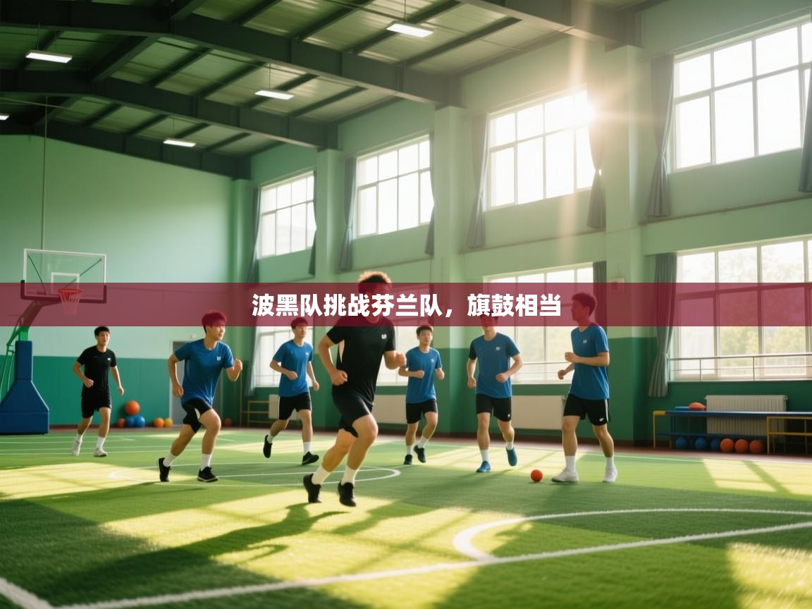 波黑队挑战芬兰队，旗鼓相当  第2张