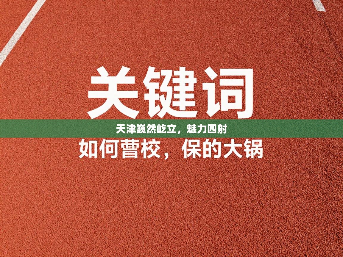 天津巍然屹立,魅力四射 第1张