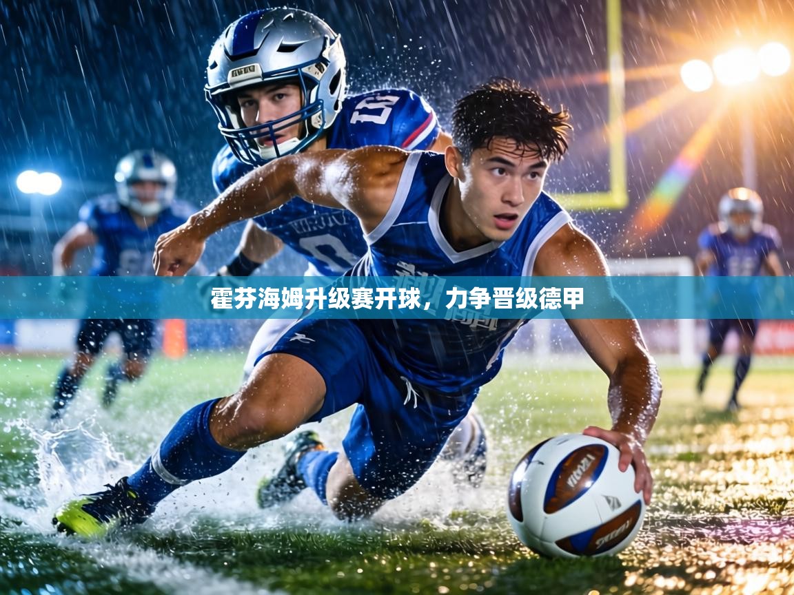 霍芬海姆升级赛开球，力争晋级德甲  第2张